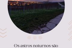 (Lote 1) boa noite julho 2023 - 111