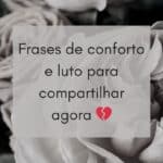 Frases de conforto e luto para compartilhar agora 💔